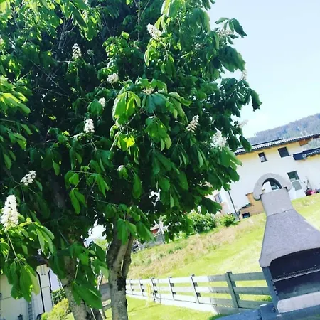 Haus-pongau