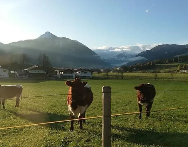 Haus-pongau *