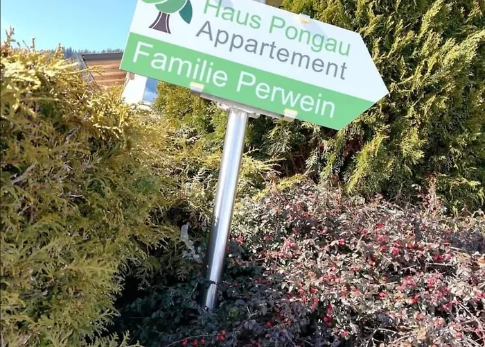 Haus-pongau Flachau